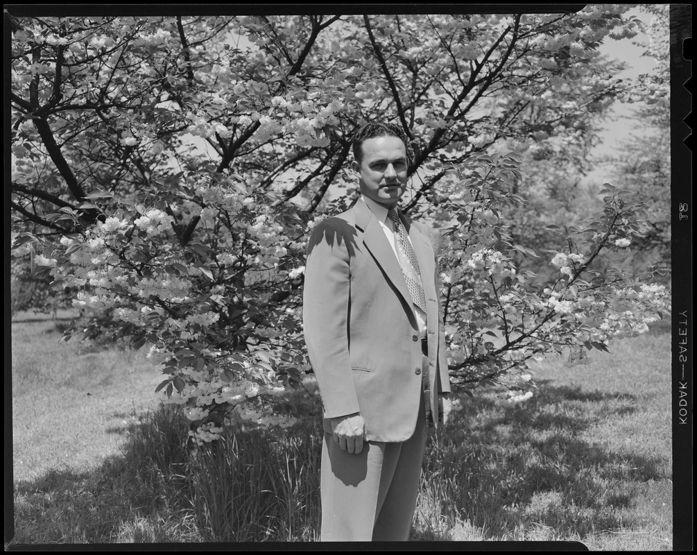 James J. Greeley at Arnold Arboretum