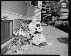 Mrs. Emma B. Hanna. 13 buds, Easter-Lilla