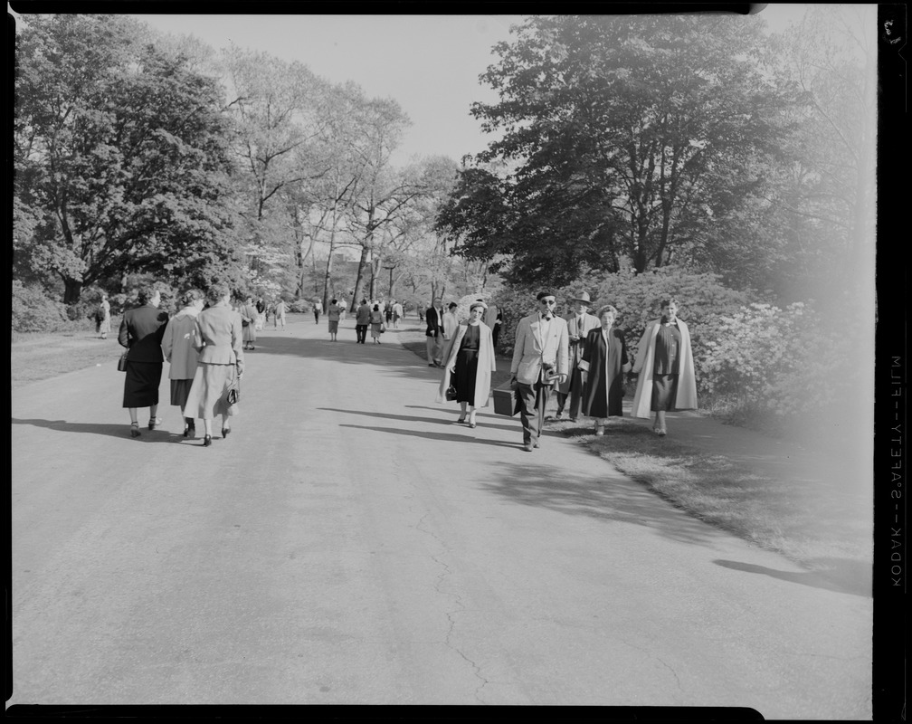 Kerop, Artemis and Jean Nahabedian. Levon and Agnes Mooradian at Arnold Arboretum