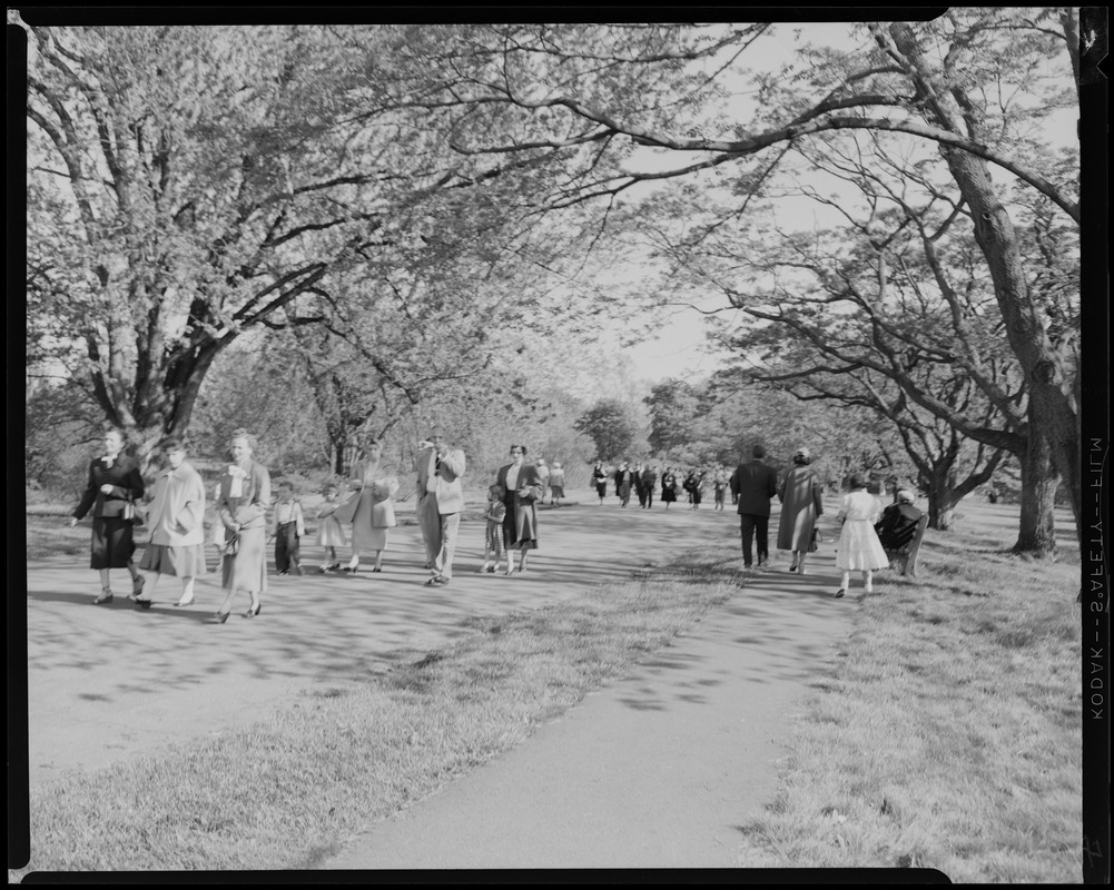 Kerop, Artemis and Jean Nahabedian. Levon and Agnes Mooradian at Arnold Arboretum