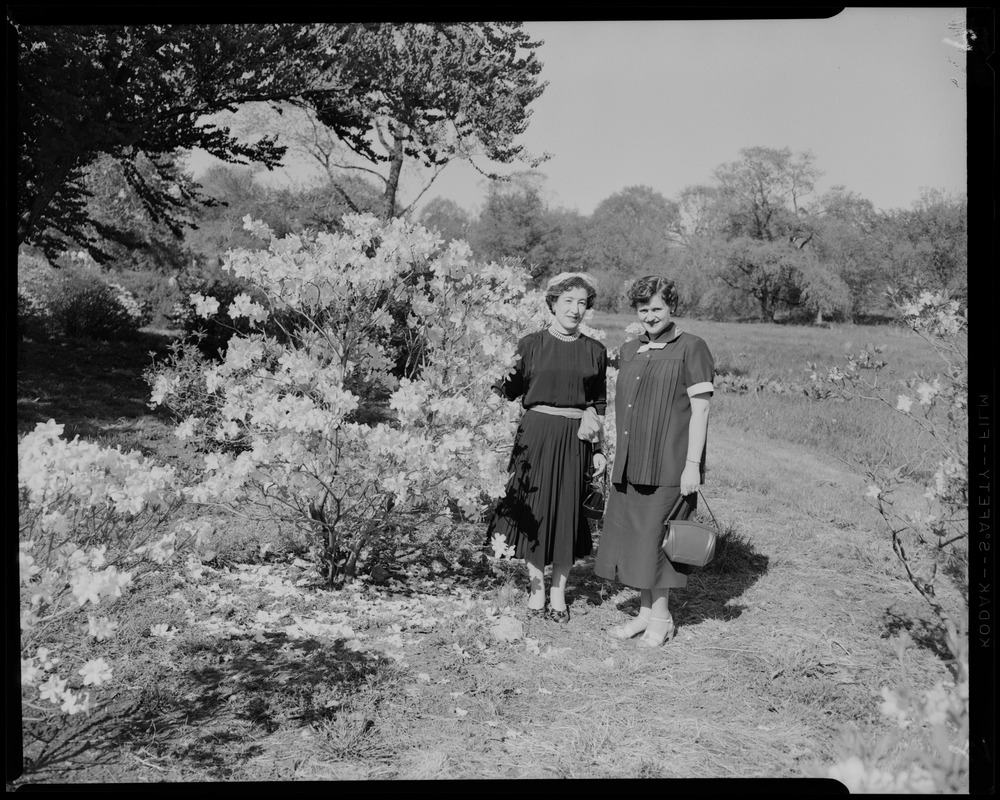 Artemis and Jean Nahabedian at Arnold Arboretum