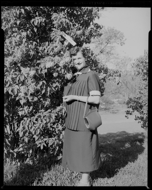 Jean Nahabedian at Arnold Arboretum