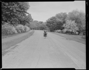 Miss Artemis Nahabedian, Arnold Arboretum