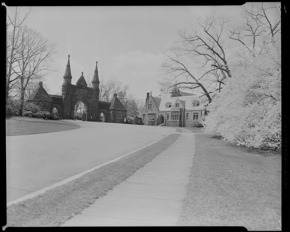 Forest Hills Cemetery Digital Commonwealth