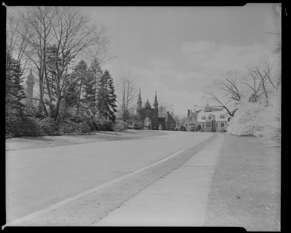 Forest Hills Cemetery Digital Commonwealth