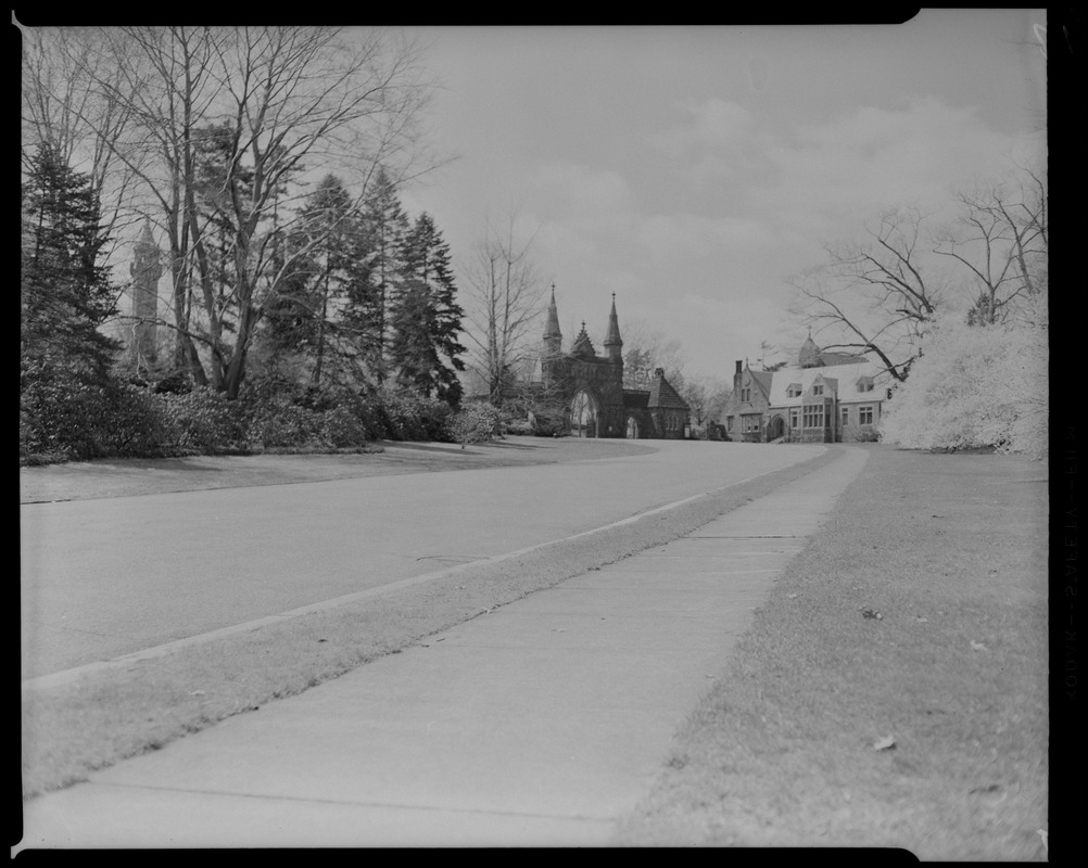 Forest Hills Cemetery Digital Commonwealth   Image Access 800 