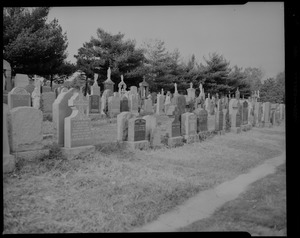 Fairchilds MacCarthy. John French. Forest Hills Cemetery. St. Michael's Italian Catholic Cemetery
