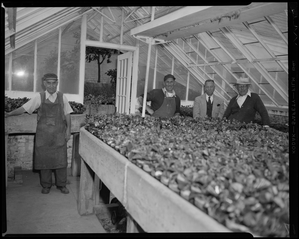 Forest Hill Cemetery employees. [Charles H.] Fox, [Daniel] Campagna ...