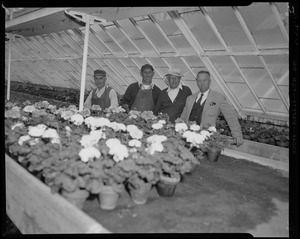 Forest Hill Cemetery employees. [Charles H.] Fox, [Daniel] Campagna, with cap, and straw hat