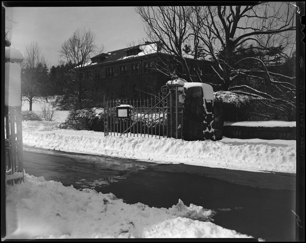 Arnold Arboretum snow views