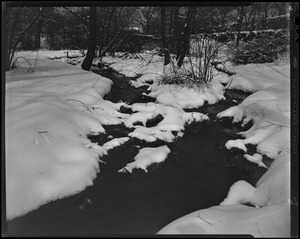 Arnold Arboretum snow views