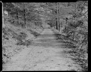 Jamaica Pond, west pathway