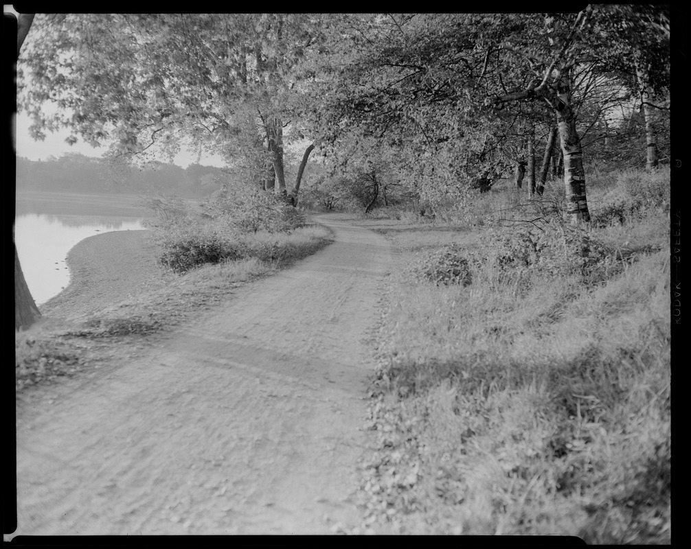 Jamaica Pond, west pathway