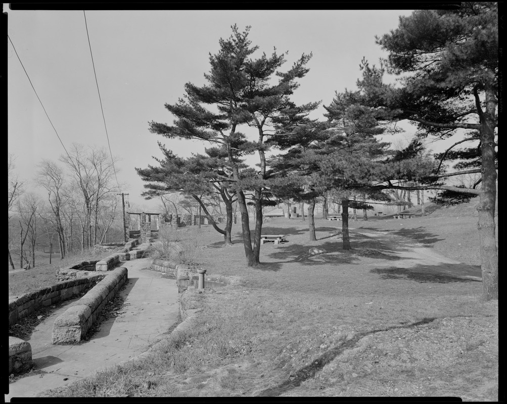 Franklin Park picnic ground Digital Commonwealth