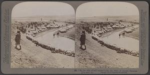 "By the side of still waters" - on the plain of Jezreel, Palestine (Ps.xxiii 2)