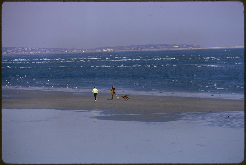 Revere Beach Oceanside Drive