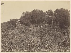 View of hill caves, possibly Khandagiri Caves, India