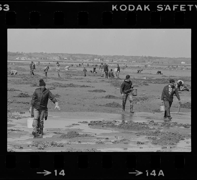 Seabrook clam diggers