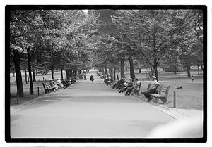Boston Common