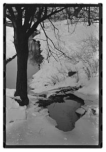 Snow pictures - Fenway
