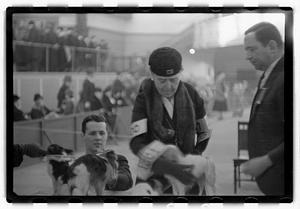 Dog show