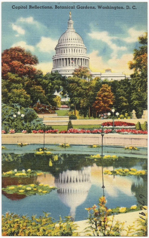 Capitol reflections, Botanical Gardens, Washington, D. C.