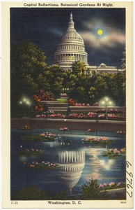 Capitol reflections, Botanical Gardens at night, Washington, D. C.