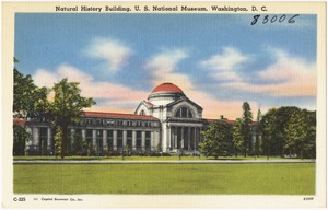 National History Building, U. S. National Museum, Washington, D. C.