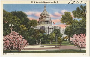 U. S. Capitol, Washington, D. C.