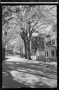 A tree-lined street