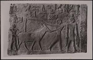 Wien, Kunsthistorisches Museum, relief aus der kultkammer des Prinzen Kaninisut eingang. Herbeiführung einer antilope