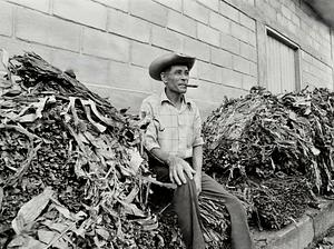 Farmer, Honduras