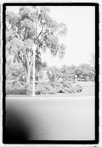 Lamppost