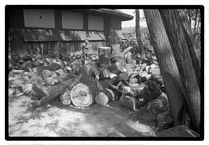 A pile of wood