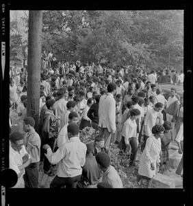 Large gathering of people in a park setting