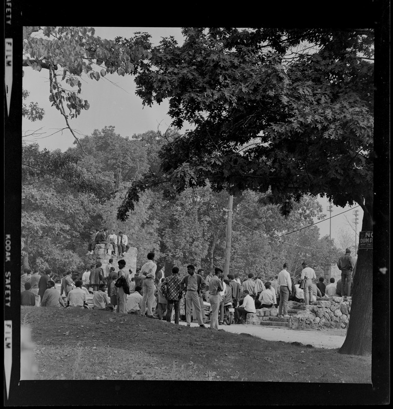 Group gathering in Franklin Park