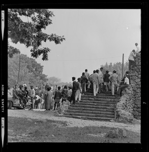 People standing on rock stairs in Franklin Park