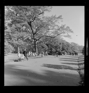 Park view with families and strollers and bikes