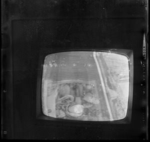 Unidentified scene of Gemini 6 blastoff on television screen