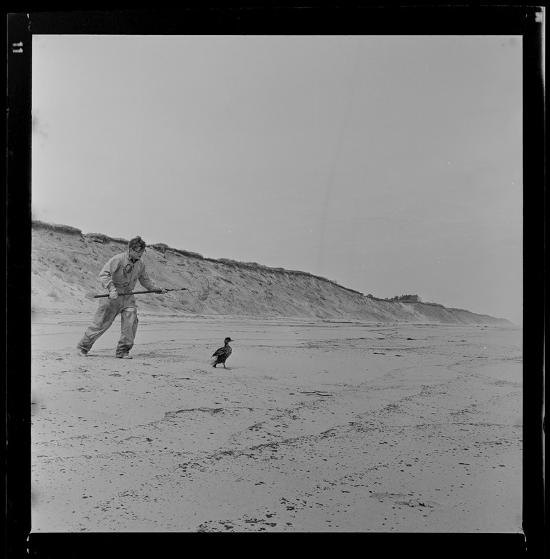 Job Corps worker rescuing a duck from the oil