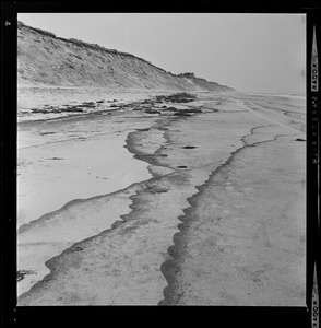 Beaches at Wellfleet, with oil remnants after oil spill