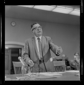 Man with glasses on, standing and addressing the committee