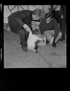 Protester with a chicken