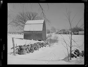 Building (exterior), Essex