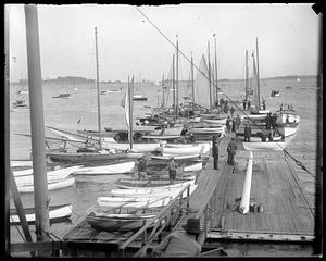 Sailboats on and by a dock