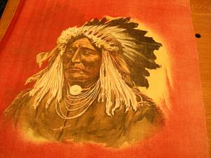 Portrait of Native American man