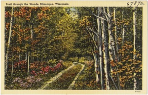 Trail through the woods, Minocqua, Wisconsin
