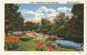 N-799. Springtime in Carolinas