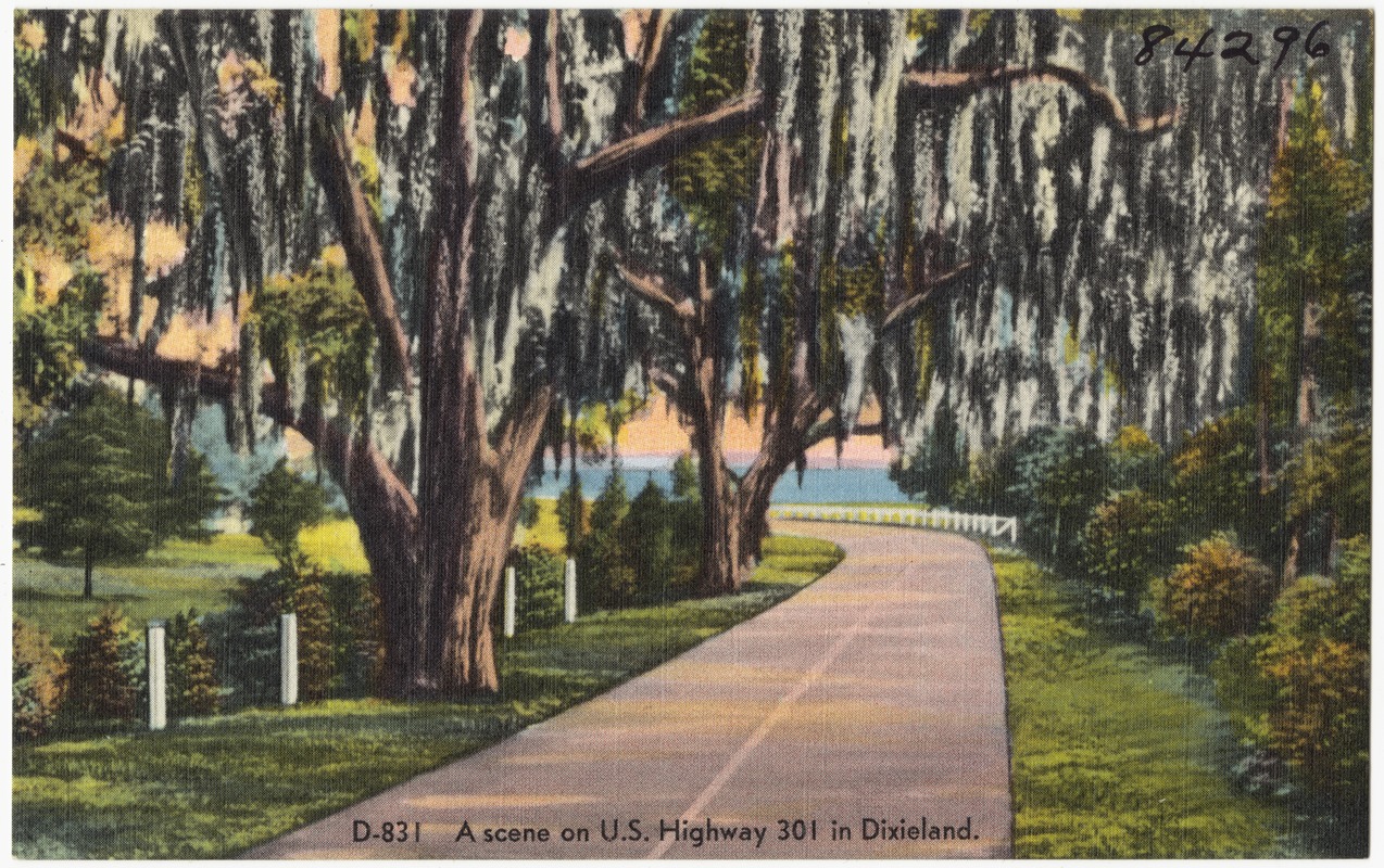 D-831. A scene on U.S. Highway 301 in Dixieland.