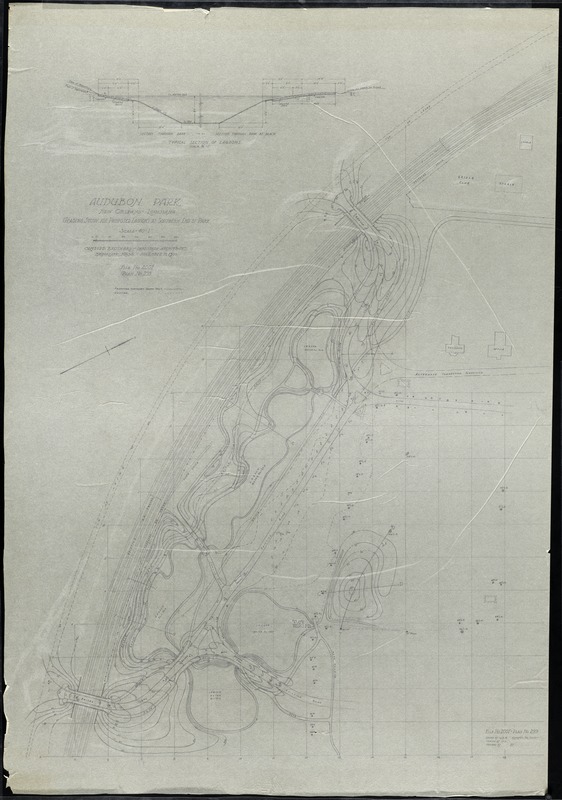 Audubon Park/ New Orleans, LA./ Grading Study for Proposed Lagoons at Southern End of Park[r]/ ; Scale 40' = 1' [r]
